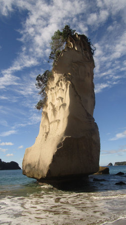 Te hoho Rock seen from the inside of cathedral cove near Hahei, Coromandel New Zealandの写真素材