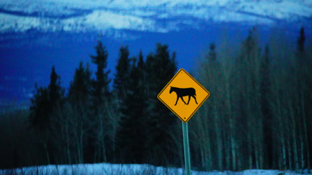 Kluane road wild animal signs to Haines Junction, Yukon Territory, Canada in winter timeの写真素材