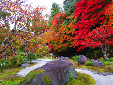 Beautiful Minoo views in colorful autumn season with no people, Osaka, Japan