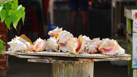 Views of Rosario Islands in the Caribbean sea in Colombiaの写真素材