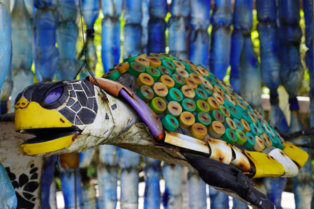 Charles Darwin Research Center on the island of Santa Cruz in Galapagos islandsの写真素材