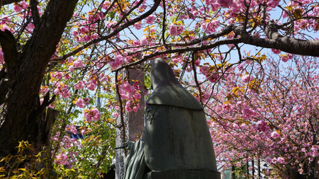 Kansai region side views on spring time when the cherry blossom Japanの写真素材