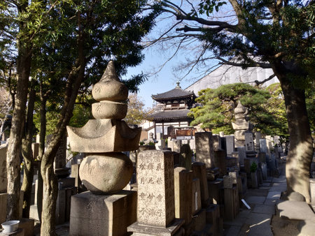 Osaka city side views in the beautiful region of Kansai in Japanの写真素材