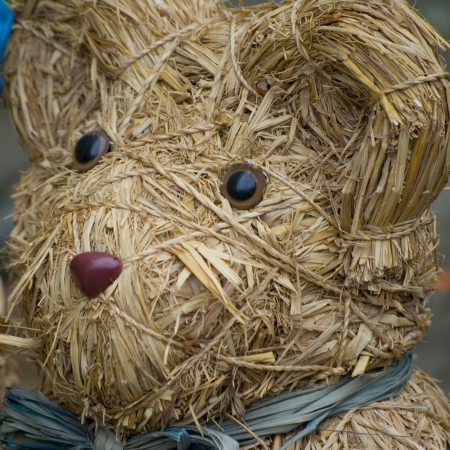 teddy bear made of strawの写真素材
