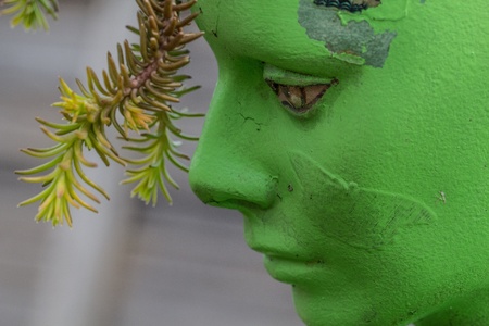 Photo of a Green Mannequins face in a garden の写真素材