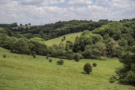 Photo of the pretty English countryside with green fields and trees taken in bath UK. - Nature photographyの写真素材