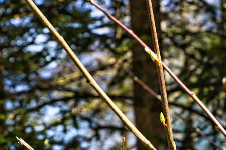 Landscape around Achensee in Austriaの写真素材