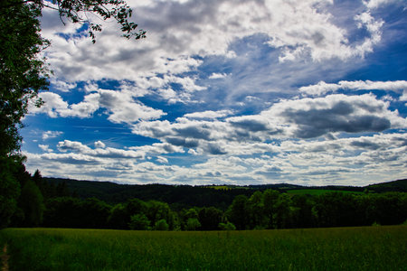 Field landscape in Germany green meadow blue sky