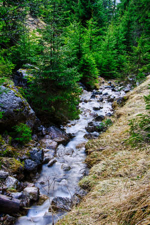 River through the mountains with green treesの写真素材