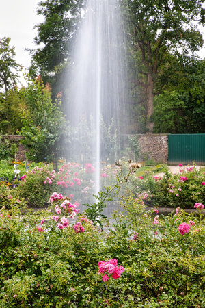 Water fountain in a parkの写真素材