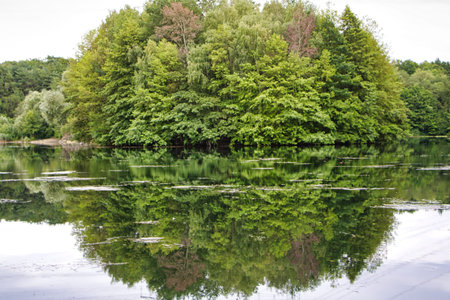 Beautiful reflection in the waterの写真素材