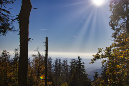 Nice insight into the forestの写真素材