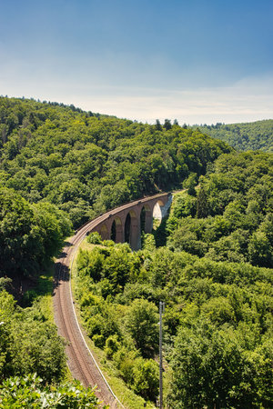 Railway bridge through the forestの写真素材