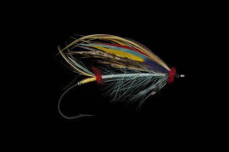 Blue Doctor salmon fly shot against a black backgroundの写真素材