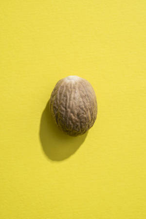 Nutmeg against a brightly coloured backgroundの写真素材