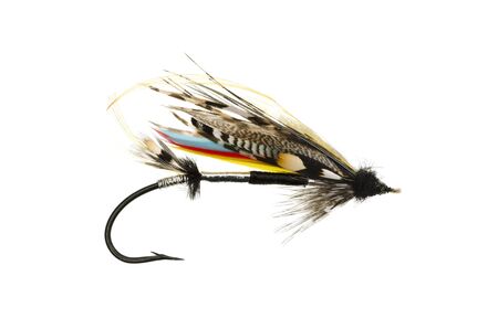 Mar Lodge salmon fly shot against a white backgroundの写真素材