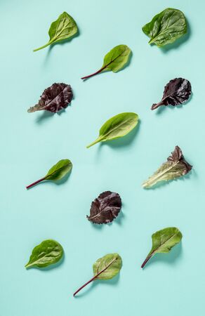 A selection of salad leaves laid out in lines on a blue grey backdrop shot from overhead with soft shadows from top leftの写真素材