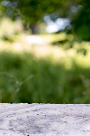 Empty stone table top in defocused field with tree branchesの写真素材
