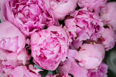 A close up of pink flower headsの写真素材