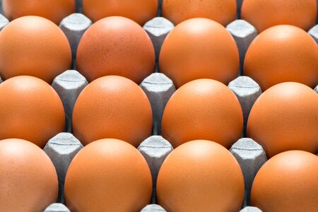 Close up of hen eggs in cardboard egg tray for backgroundsの写真素材