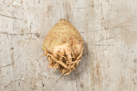 A whole ripe celeriac on a wooden background