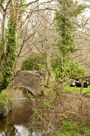 Stone bridge over a creek surrounded with foliage and cows