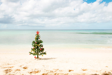 Decorated Christmas tree standing by the sea shore under cloudy skies