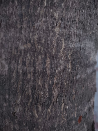 Wood texture background, Wood texture background, Wood texture background, Wood texture background