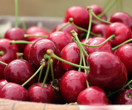 A close-up on a basket of freshly picked red cherriesの写真素材