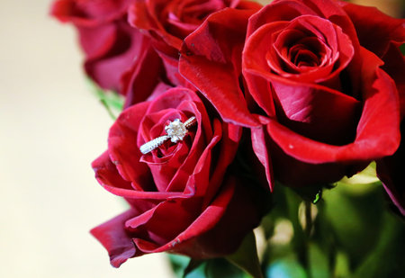 A diamond engagement ring is placed inside a red rose. More roses are in the background.