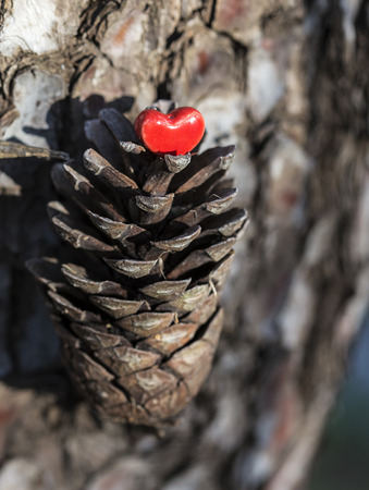 A red ceramic heart is placed on a pine cone.の写真素材