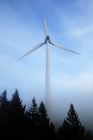A single wind energy turbine located in a forest, during fog.