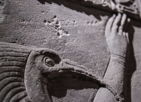 Egyptian god engraving on stone wall.の写真素材