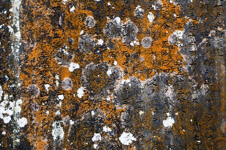 Japanese Ancient Grave Stone with Moss and Writingsの写真素材