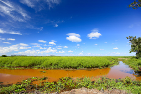Muddy river banks with blue sky and green field.の写真素材