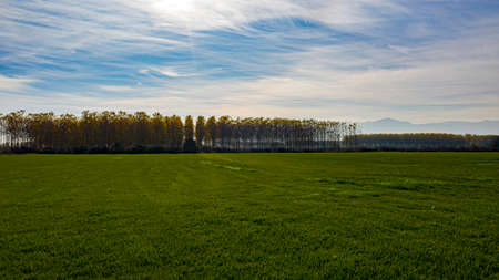 A beautiful road view through the forest in autumn.の写真素材
