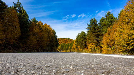 A beautiful road view through the forest in autumn.の写真素材