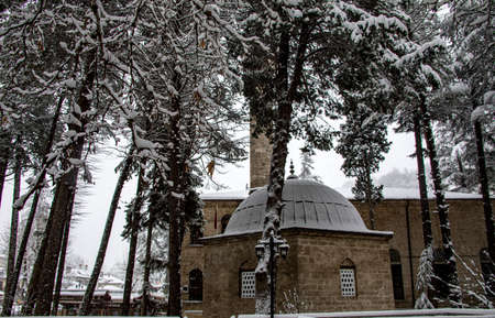 A magnificent view of a building taken through the trees. It is also eye-catching with its reflection of the winter season.の写真素材