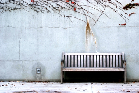 Park Bench Backgroundの写真素材
