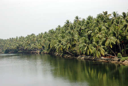 Kerala (India) backwaters region is one of the most popular tourist destinations in the world.             The scenic backwaters of Kerala comprise serene stretches of lakes, canals and lagoons located parallel to the coast of the Arabian Sea.のeditorial素材