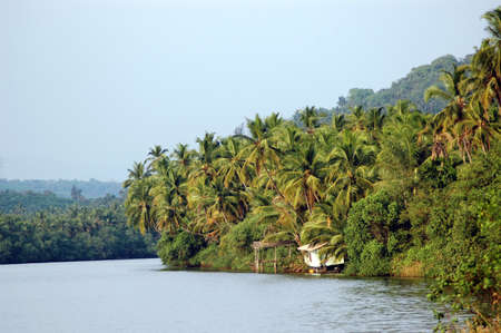 Kerala (India) backwaters region is one of the most popular tourist destinations in the world.             The scenic backwaters of Kerala comprise serene stretches of lakes, canals and lagoons located parallel to the coast of the Arabian Sea.のeditorial素材