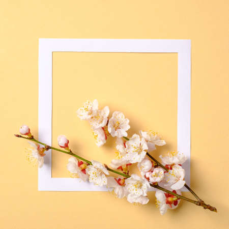 Creative flat lay composition: paper frame and blooming sakura branch on yellow background. Top view, floral frame, abstract design. Invitation, greeting card or an element for your designの写真素材