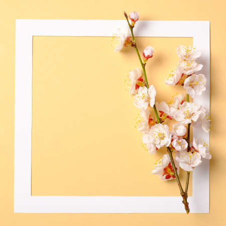 Creative flat lay composition: paper frame and blooming sakura branch on yellow background. Top view, floral frame, abstract design. Invitation, greeting card or an element for your designの写真素材