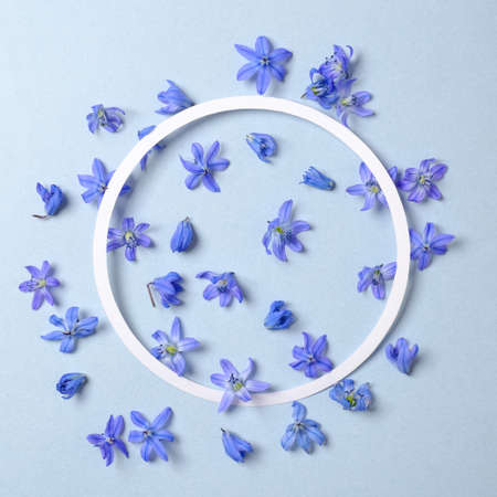 Spring nature concept. Circle border with blue flowers petals look like butterfly. Minimal flat lay composition, view from above.の写真素材