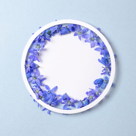 Spring nature concept. Circle made of paper and blue flowers on pastel blue background. Flat lay...
