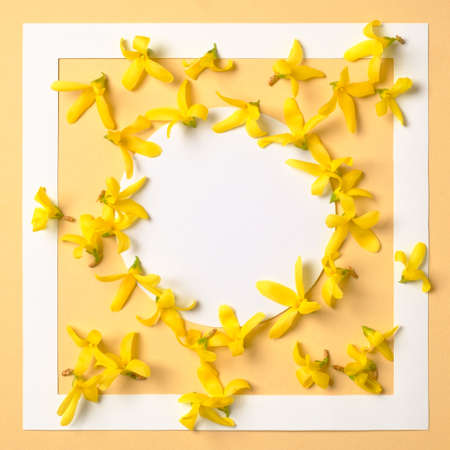 Creative layout made of yellow flowers plants look like bananas and rounded paper card note, view from above. Flat lay. Nature concept.の写真素材