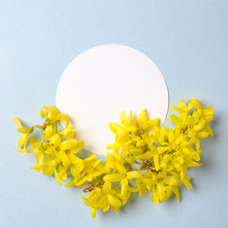 Creative layout with colorful flowers and paper circles shape. Spring flowers concept. Flat lay...