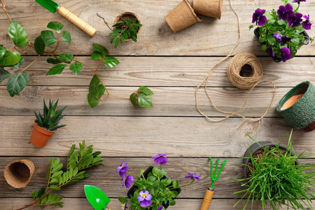 Gardening tools with various flowers plant in pot on vintage wooden background. Flat lay, top view.