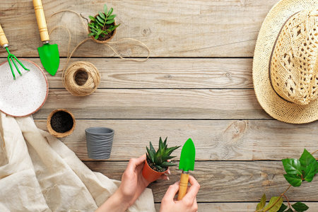 Planting a plant with gardening tools on wooden table, flat lay, view from above. Gardening or planting concept. Working in the spring garden.の写真素材