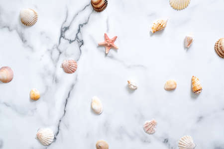 Sea shells pattern on marble desk. Flat lay, top view, overheadの写真素材